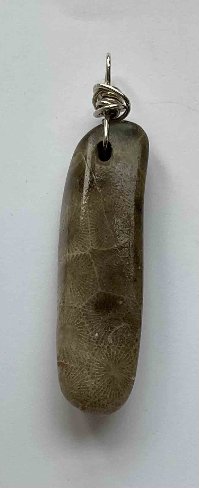 Petoskey Stone Long Pendant